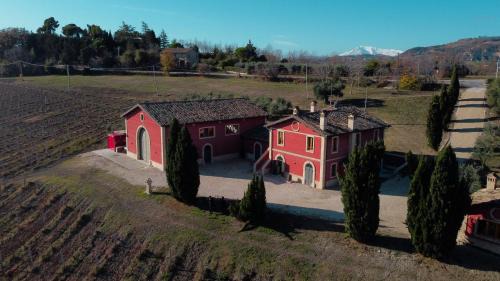 Offida Casa | Cantina D'Erasmo - Camere e Degustazioni