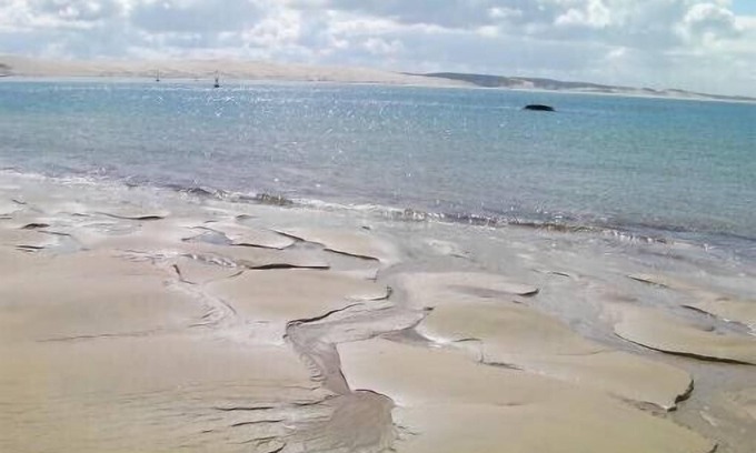 Cap-Ferret Apartamento | Cap-Ferret el Mar Cottage.