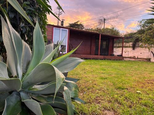 Caparica Apartamento | Caparica wood house
