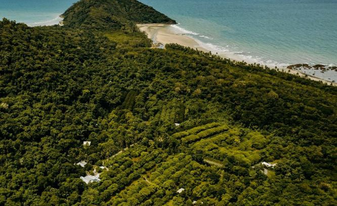 Cape Tribulation Cama Y Desayuno | Cape Trib Farm
