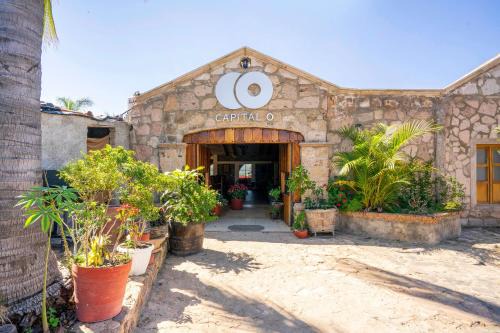 Tequila Hotel | Capital O Hotel Posada Terraza, Tequila Jalisco