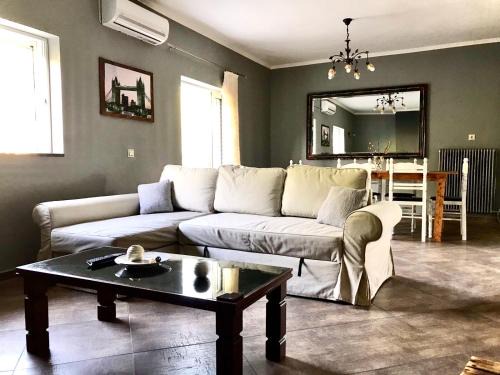 Anthousa Apartamento | Captain Michalis house