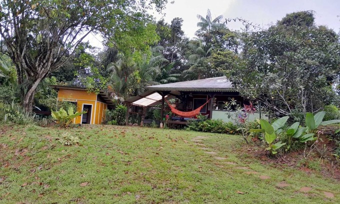Roura Casa | CARBETS in the Guiana forest