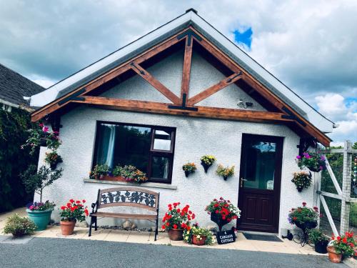 Downpatrick Apartamento | Cargagh Cottage