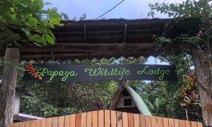 Cahuita Casa | Caribbean Experience