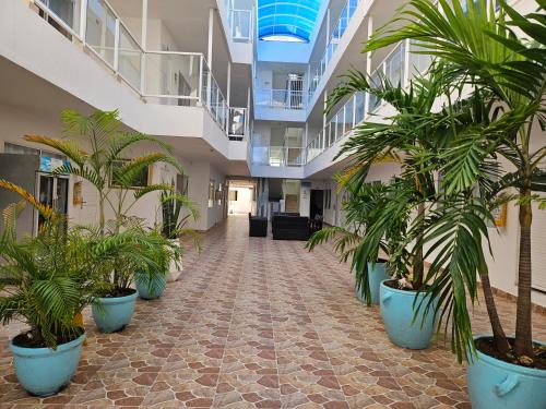 Punta Hansa Apartamento | Caribbean Island Hotel Piso 2