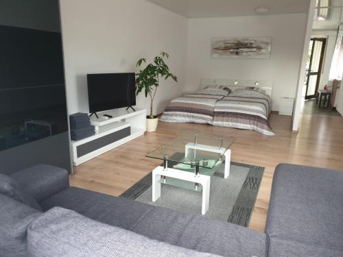 Kandern Apartamento | Carina Apartment