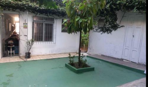 Barbalho Casa | CARNAVAL 2025 em SALVADOR