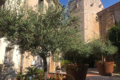 Sainte-Marie-la-Mer Casa | Carrer del Sol