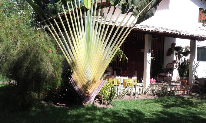 Sao Miguel dos Milagres Chalet De Esquí | CASA AMORA; well-being in Milagres. Here you and your family will live happy days!