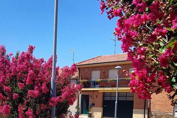 Palacios de la Valduerna Casa | CASA ABUELA