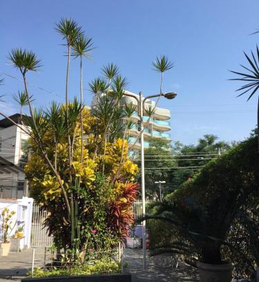 Vila Valqueire Casa | Casa aconchegante em Vila Valqueire