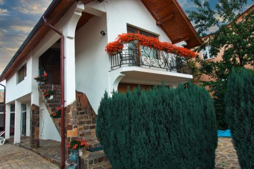 Ocna Sugatag Casa | Casa Ade