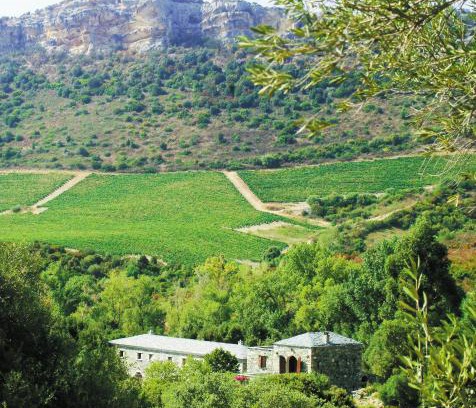 Patrimonio Casa | Casa-Albina-Corsica