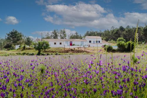 Monte da Vinha Casa | Casa Alfambras - Holiday Cottage in Aljezur