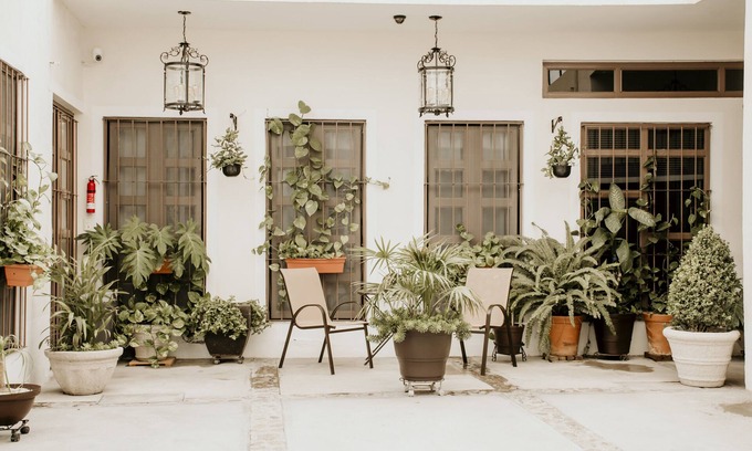Zona centro Apartamento | Casa Allende