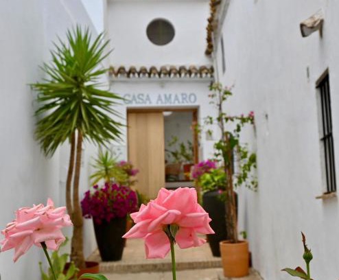 San Ambrosio Apartamento | CASA AMARO