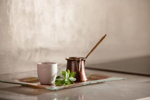 Sithonia Casa | Casa Anastacia Sykia