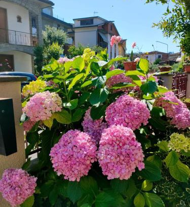 Montevarchi Apartamento | Casa ANNA