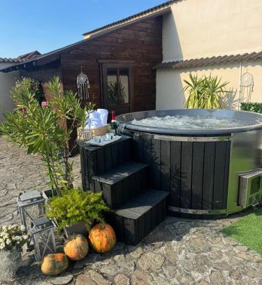 Sura Mica Casa | Casa Antonia Homestay