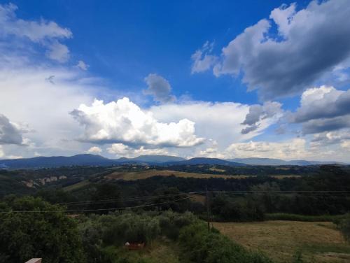 Calvi di Umbria Apartamento | Casa Armania