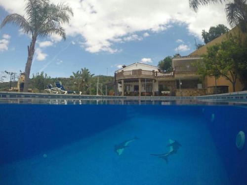 Guaro Casa | Casa Atalaya