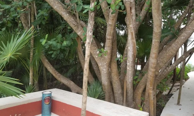 Akumal Apartamento | Casa Azul