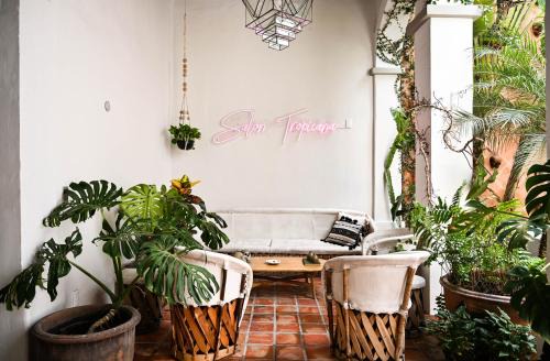 Americana Hotel | Casa Blanco by Barrio Mexico