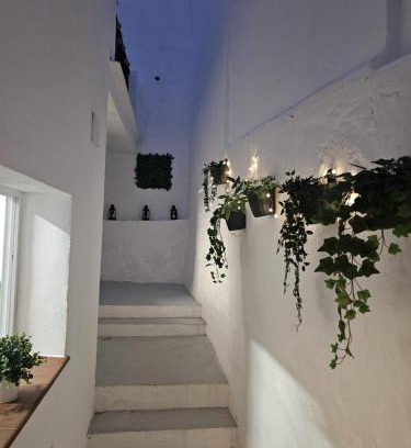 Olvera Casa | Casa Borete