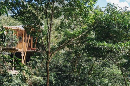 Cocorna Chalet De Esquí | Casa Borojó, Refugio Natural Jacaranda