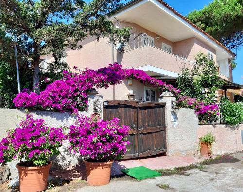 Porto Pozzo Apartamento | Casa Boutique Angelika