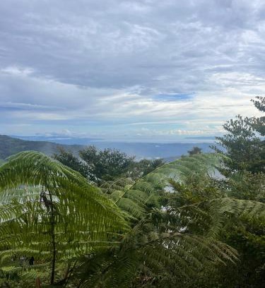 Quebrada La Gamba Casa | Casa Bromelia