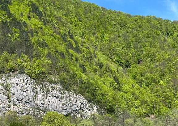 Bratca Casa | Casa Bulz