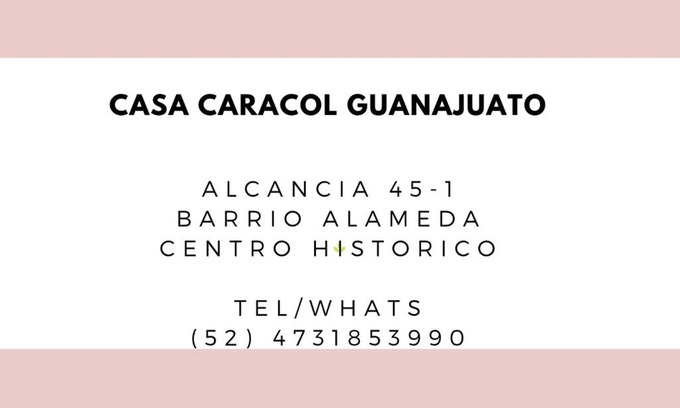 Zona Centro Apartamento | Casa Caracol Guanajuato