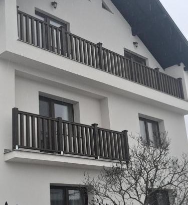 Poienile Izei Casa | Casa Carmen