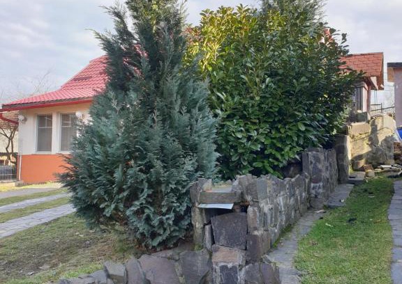 Pomi Casa | Casa cu fantana
