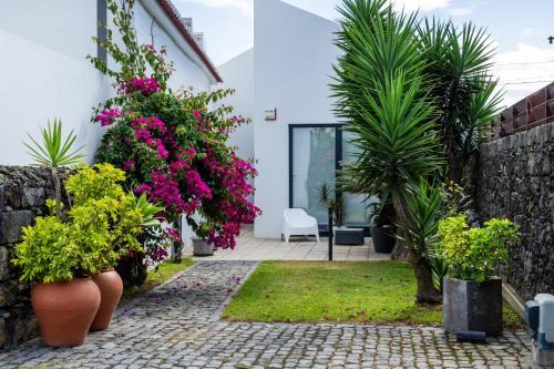 Ribeira Grande Chalet De Esquí | Casa da Árvore - Chalé