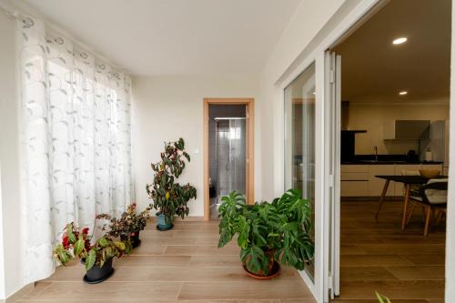 Vila Real Casa | Casa da adega