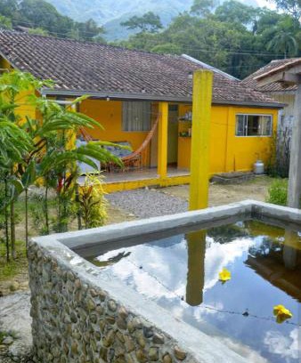 Morretes Casa | Casa da Flor