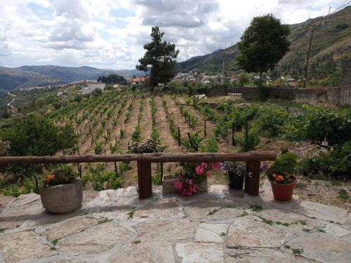 Tabuaco Casa | Casa da Vinha em Tabuaço - Douro