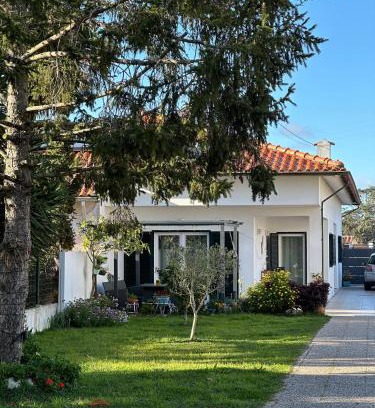 Aveiro Casa | Casa das Camélias