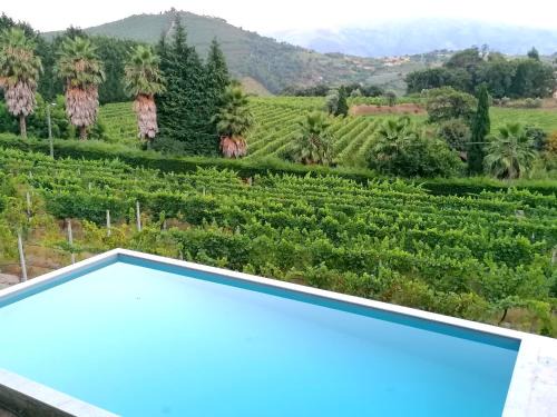 Baiao Apartamento | Casa das Feitorias Douro Valley
