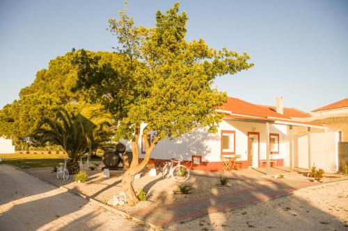 Palhais Casa | Casa das Pipas Palmela #4