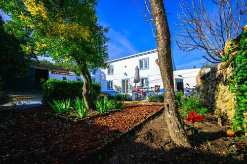 Marvao Cama Y Desayuno | Casa das Pedras Country Retreat