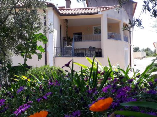 Ansiao Casa | Casa de Amigos