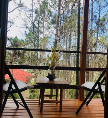 Jarabacoa Otro | Casa de Arbol, Rancho Tierra Alta