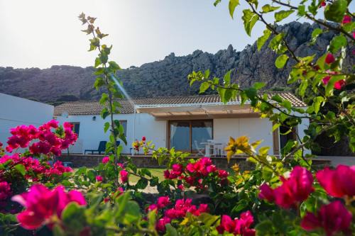 Bolonia Casa | Casa de Campo La Estancia