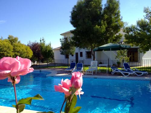 Priego de Córdoba Villa | Casa de la Higuera