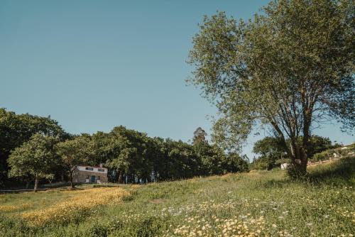 Maceira Casa | Casa de la Pradera