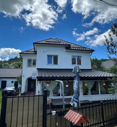 Viseu de Jos Casa | Casa de vacanță Fabian